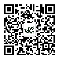 首页-微泰医疗器械（杭州）股份有限公司【官网】
